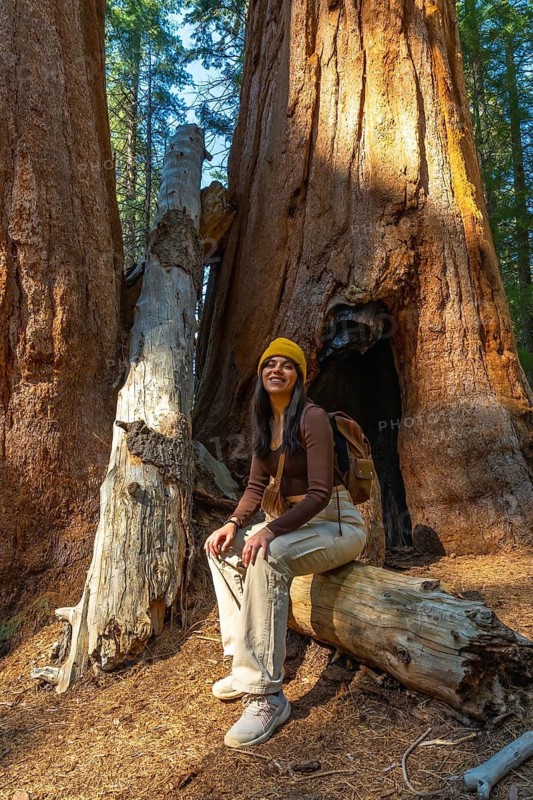 Young woman smiling, wearing a beanie and backpack, sitting on a fallen log while enjoying the surrounding large sequoia trees in a natural park during a sunny day