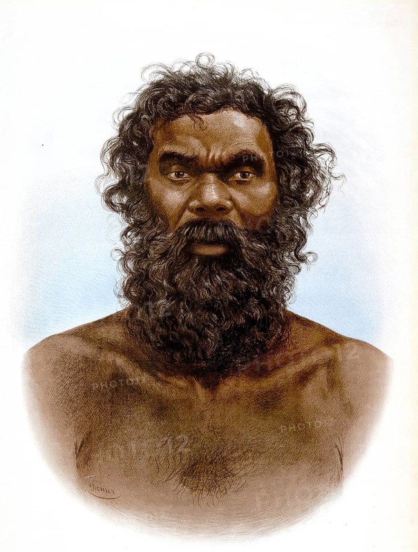 Historical color lithograph of an Australian Aboriginal man, picture showing a detailed chest portrait of an indigenous Australian with distinctive facial features, thick curly hair and a full beard, school painting, illustration, reproduction from a 19th-century model. School picture, mural, authentic, file restored for optimal use, exact date of original unknown, historical