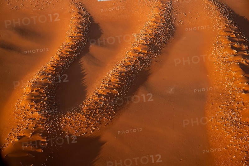 Aerial view, detailed view of a sand dune in the Namib Desert, Namib Naukluft Park, Namibia