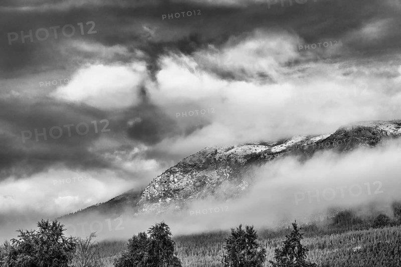 Morning atmosphere, Alvdal Vestfjell, Hedmark, Innlandet, Norway, July 2026