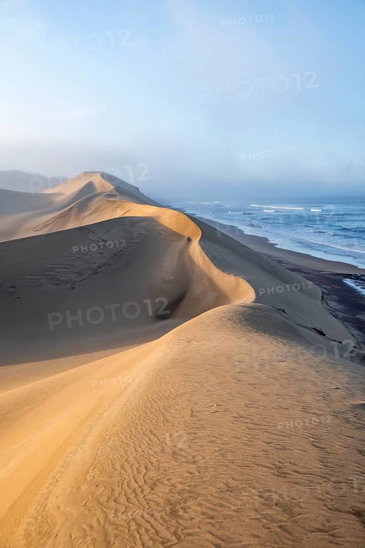 Sand dunes in morning light, view of Atlantic coast and sea, Sandwich Harbour, impressive desert landscape, Namib Naukluft Park, Namibia