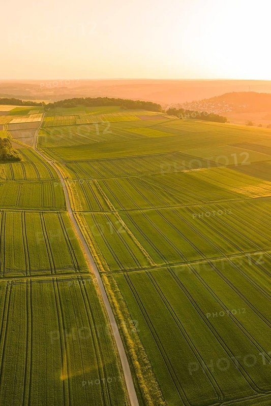 Aerial view of vast fields glowing in the setting sun, Gechingen, Hecken and Gäu region, Landreis Calw, Germany