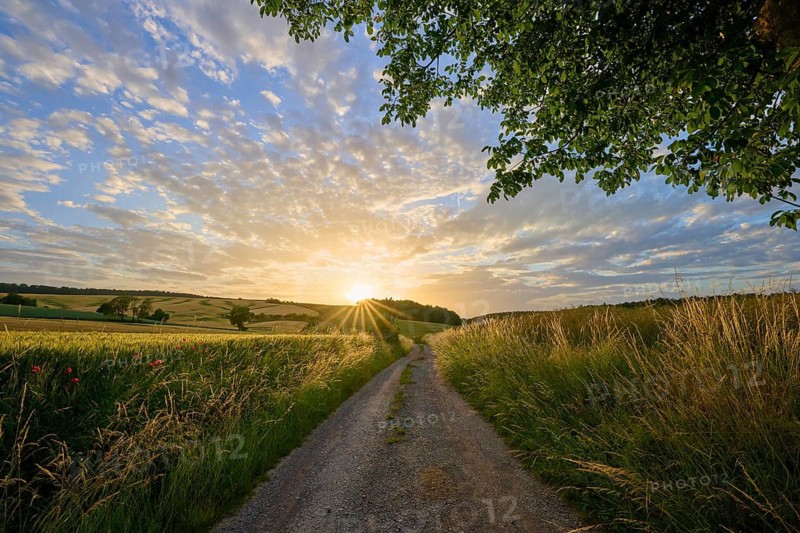 A dirt road leading into sunset, framed by fields and an impressive sky, Rosshof, Großheubach, Miltenberg, Spessart, Bavaria, Germany