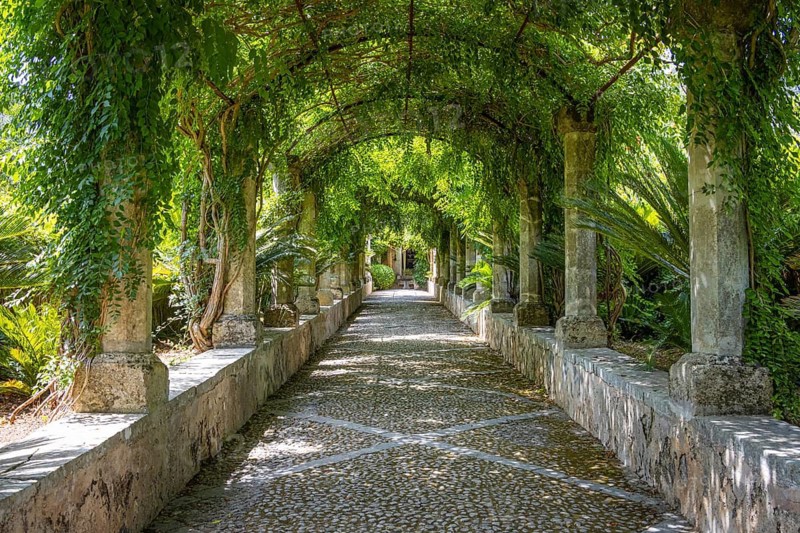 The Alfabia Gardens are a historic garden at the foot of the Tramuntana Mountains in Majorca. They belong to an old country estate with a manor house and combine Arab, Gothic, Renaissance and Baroque influences. The shady palm alleys, water features, fountains and the diverse Mediterranean and tropical flora are famous. Jardines de Alfabia, Alfabia, Majorca, Spain