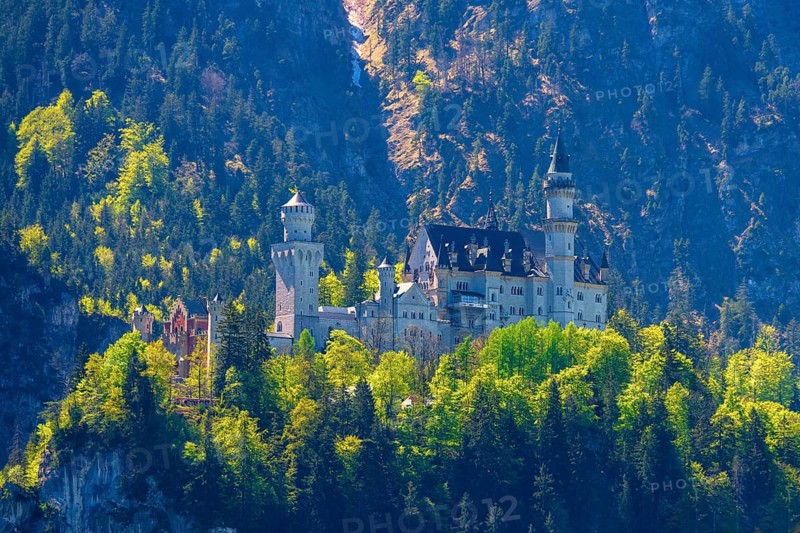 A majestic castle is nestled in wooded mountains, Neuschwanstein, Schwangau, Ostallgäu, Allgäu, Swabia, Upper Bavaria, Bavaria, Germany