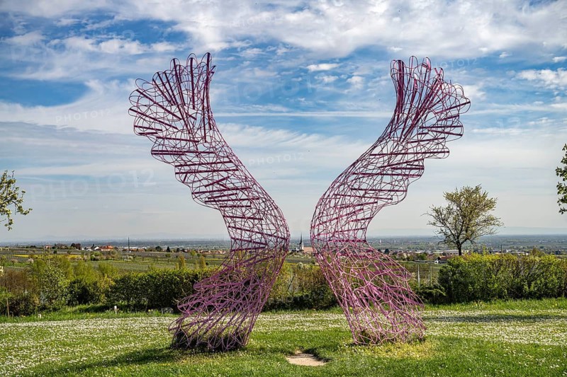 Pair of wings artwork I believe I can fly by Gleb Dusavitskiy in Sankt Martin, Südliche Weinstraße, Rhineland-Palatinate, Germany