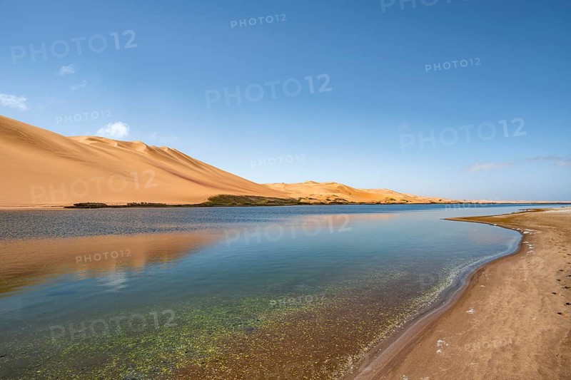 Sand dunes are reflected in Sandwich Harbour Lagoon, Impressive Desert Landscape, Namib Naukluft Park, Namib Desert, Namibia