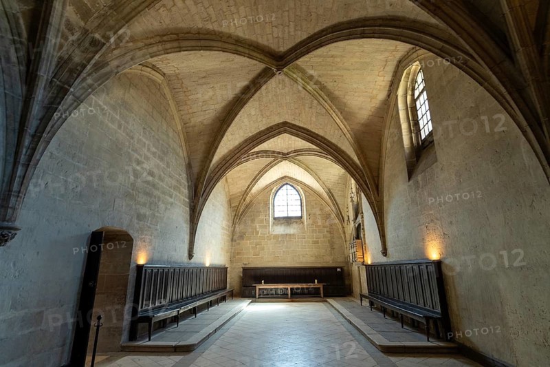 Villefranche de Rouergue. City of Art and History. The Chartreuse Saint Sauveur. The chapter house, Aveyron. Occitanie. France