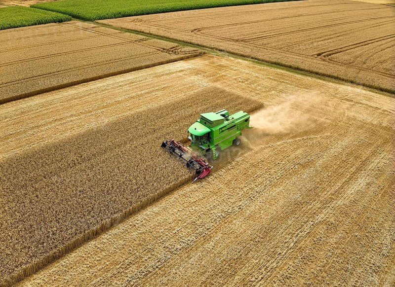 Aireal photo of a combine harvester harvesting wheat on a field in the vertile and fruitful of Langes Feld north of Stuttgart, Baden-Württmberg, Germany