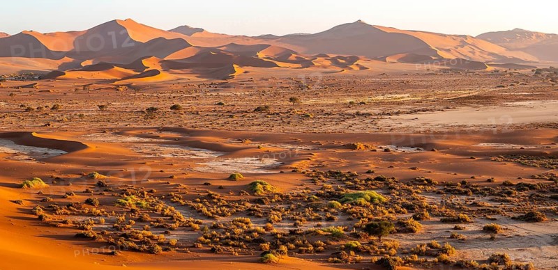 Large red sand dunes in the Namib Desert, Namib Naukluft Park, Namibia