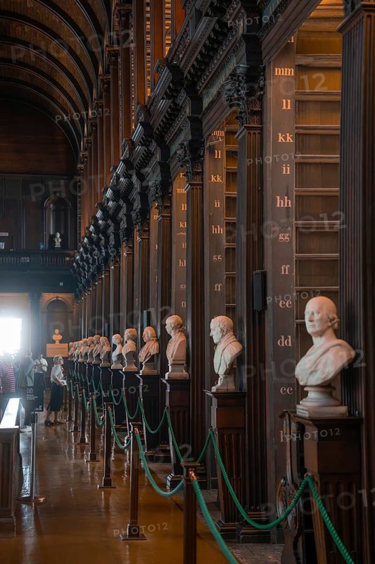 Row of busts along wooden pillars in a historic library, Trinity Collage, Dublin, Ireland