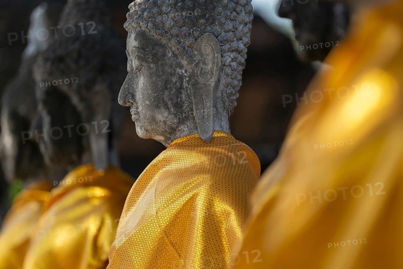 Row of Buddha statues with golden yellow tunic around the Great Chedi Chaya Mongkol, Wat Yai Chai Mongkon, Ayutthaya, Thailand