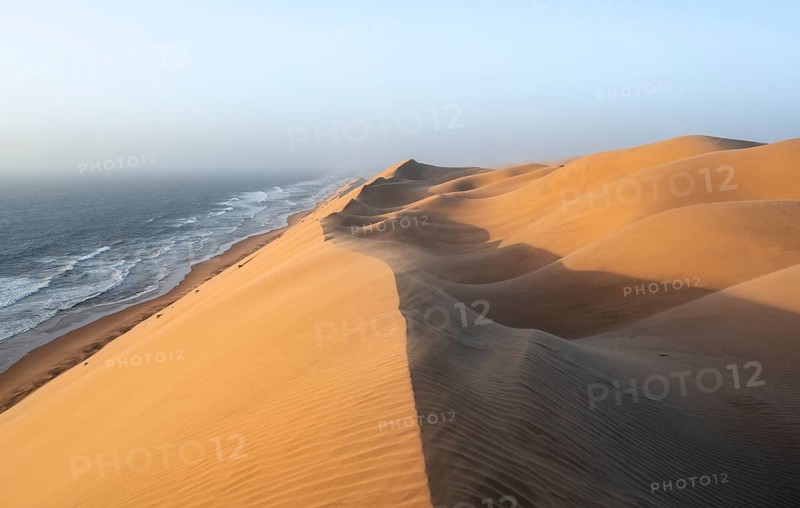 Sand dunes with wave patterns and sea in evening light, wind blowing sand across the dunes, Atlantic coast and sandy desert with sea of dunes, impressive desert landscape at sunset, Sandwich Harbour, Namib Naukluft Park, Namib Desert, Namibia