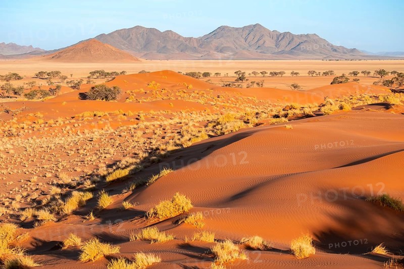 Evening atmosphere, sand dunes, landscape in the NamibRand Nature Reserve, Naukluft Mountains in the background, Namib Desert, Namibia