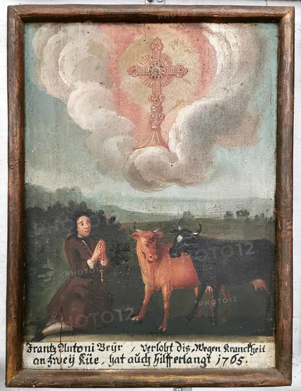 Votive image from the 18th century in the monastery church, Mönchsdeggingen monastery, former monastery of the Mariannhill missionaries, near Nördlingen on the southern edge of Riesrand, Donau-Ries district, Swabia, Bavaria, Germany. The inscription documents that Frantz Antoni Beyr sought and found help due to an illness affecting his two cows. Cattle were the most important source of livelihood for farmers in the early 18th century. Animal disease often meant economic ruin