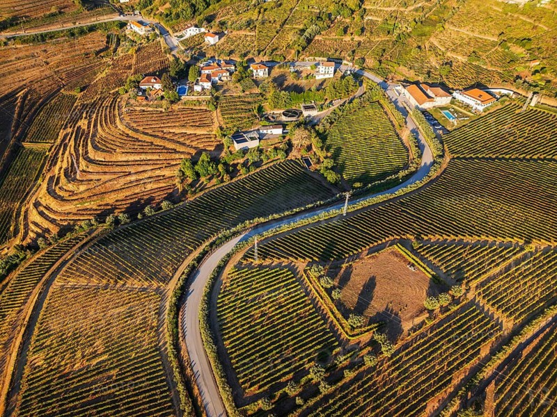 Drone view of vineyards and hills in Douro Valley, Portugal, with Douro valley hills, terraced vineyards, and village homes among vineyards