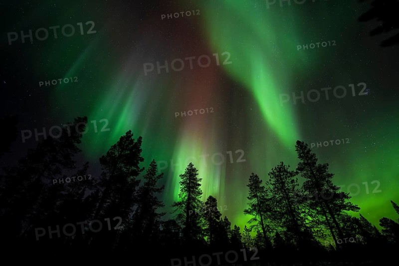 Northern Lights (Aurora borealis), Norrbotten, Lapland, Sweden, October 2022