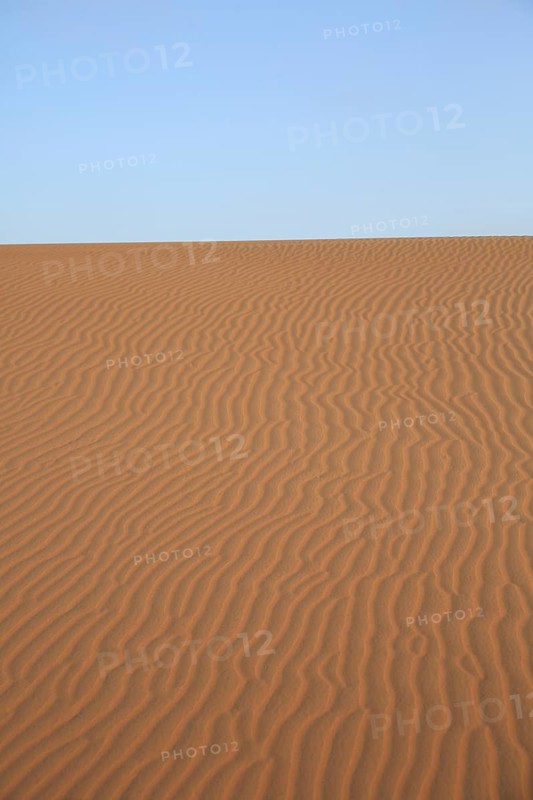 View of vast sand dunes under clear blue sky, wallpaper, wave patterns in the sand, desert, Dubai, United Arab Emirates, Middle East