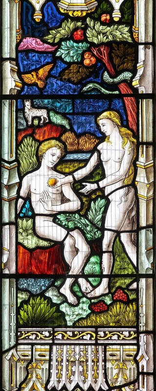 Stained glass window Adam and Eve Garden of Eden temptation with apple, c 1883, St Andrew's church, Ashburton, Devon, England, UK