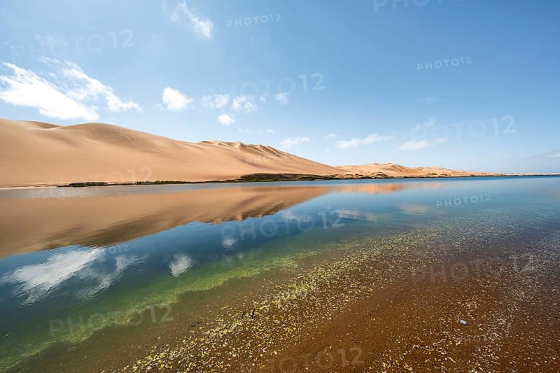 Sand dunes are reflected in the lagoon at Sandwich Harbour, Namib Naukluft Park, Namib Desert, Namibia