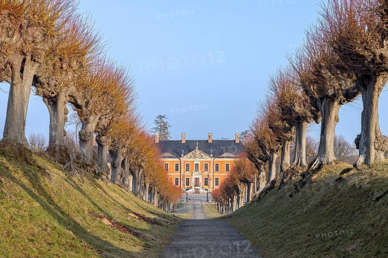 Avenue of linden trees leading to Schloss Bothmer, 18th century Baroque palatial manor house near Klütz in winter, Mecklenburg-Vorpommern, Germany