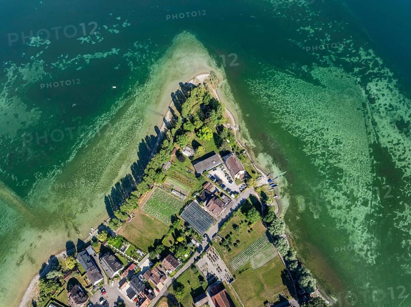 Aerial view, top-down view of the westernmost part of the island of Reichenau, district of Mittelzell in western Lake Constance, Untersee, district of Konstanz, Baden-Württemberg, Germany