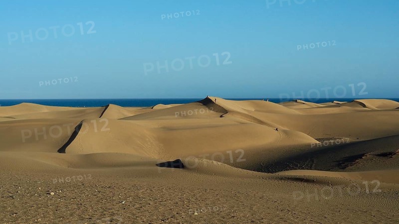 Sand dunes stretch in a tranquil desert landscape under a clear blue sky, Maspalomas Dunes, Gran Canaria, Spain