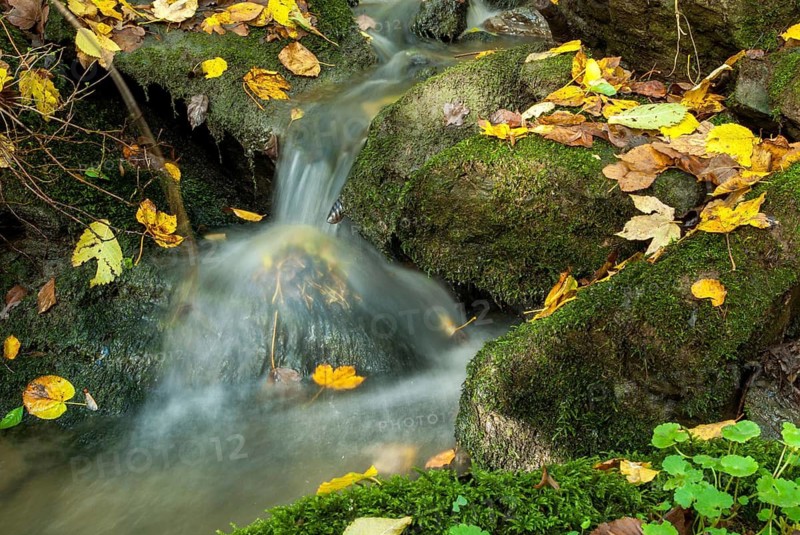 Autumn, stream, flowing water, autumn, landscape, spring area