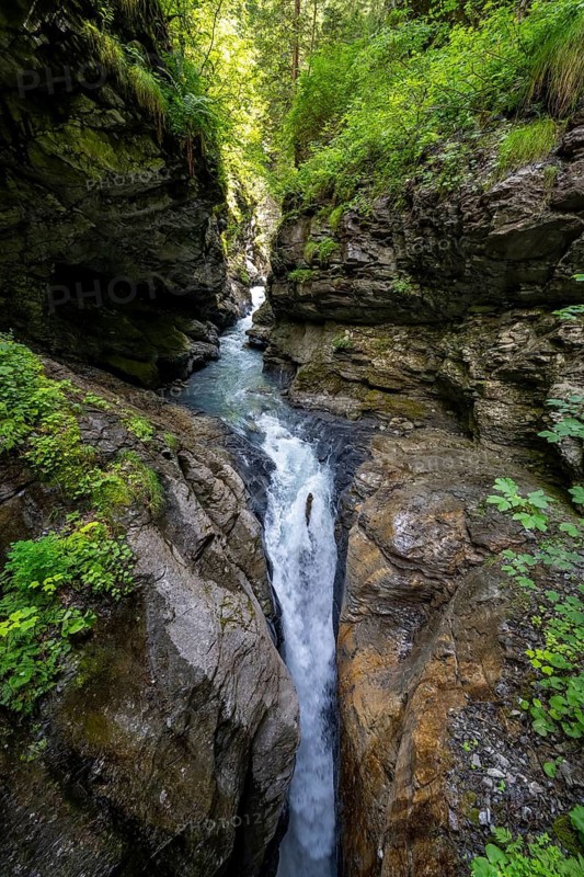 Small mountain stream in the forest, Mettlenalp, Bernese Alps, Bernese Oberland, Switzerland
