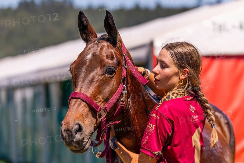 Polo player holding a horse, polo horse, polo pony (Equus), polo tournament, 1295 Polo Masters, Sylvenstal, Pfullendorf, Linzgau, Sigmaringen district, Baden-Württemberg, Germany