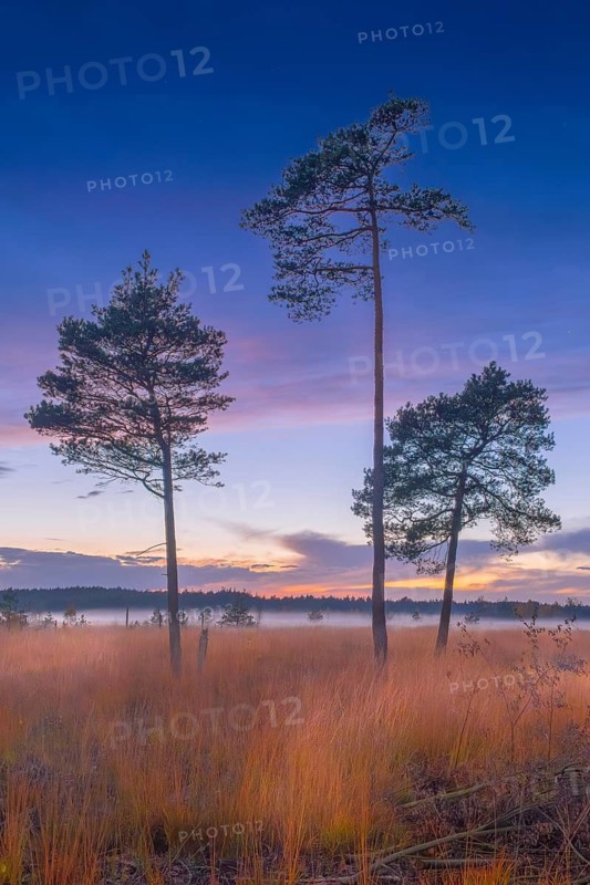Husum, Nienburg, Lower Saxony, Germany