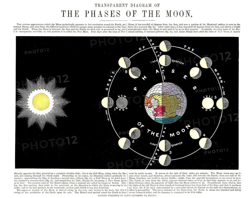 The Moon's orbit around the Earth and the formation of the various phases of the Moon. The graphic shows the astronomical phenomenon from two perspectives at the same time to explain the lighting by the sun, historical school painting or mural from around 1900, high-quality reproduction