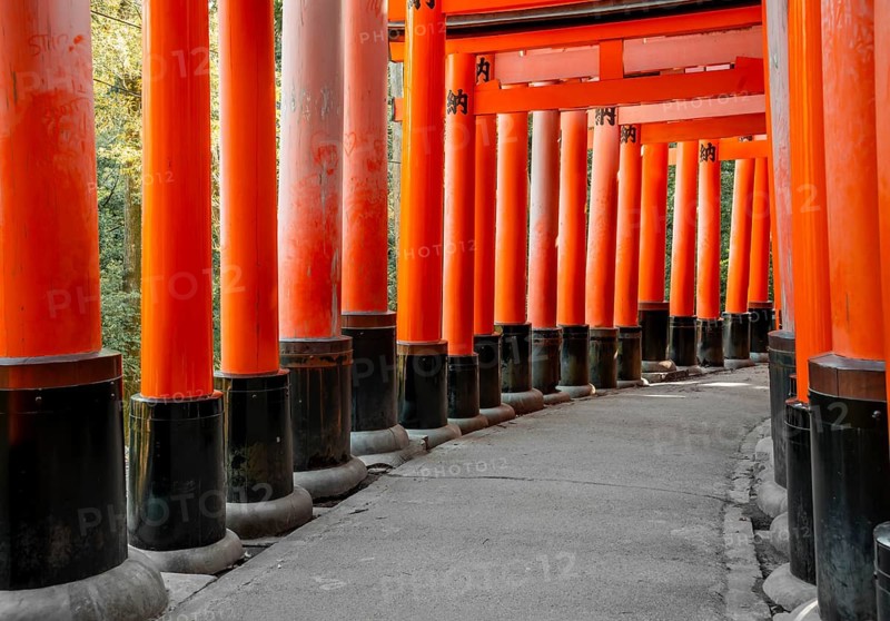 Walk through hundreds of red traditional torii gates, Fushimi Inari Taisha, Shinto Shrine, Fushimi Inari-taisha Okusha Hohaisho, Kyoto, Japan