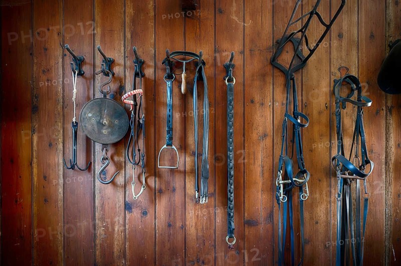 Interior view of horse stable, stables, workshop, stirrups, bridle, Trelissick House and Gardens, House and Gardens, Feock, Cornwall, England, Great Britain, Great Britain