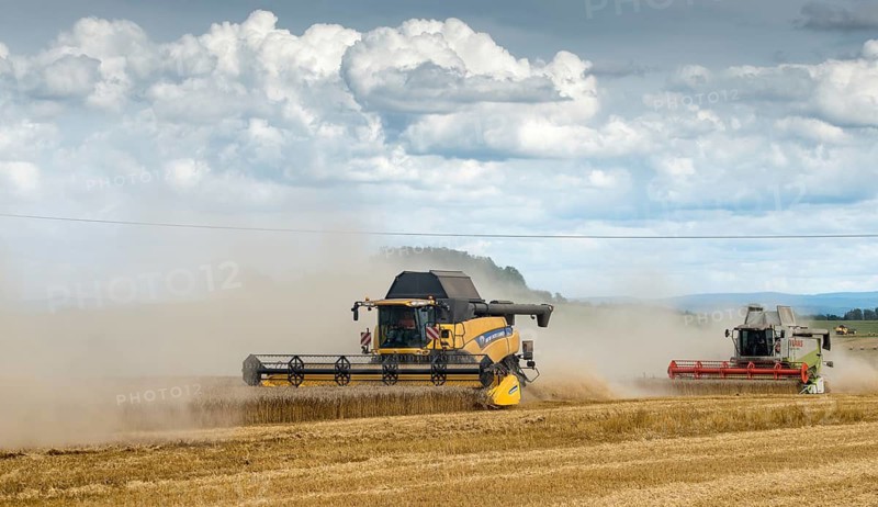 Harvest, industrial agriculture, intensive agriculture, combine harvester