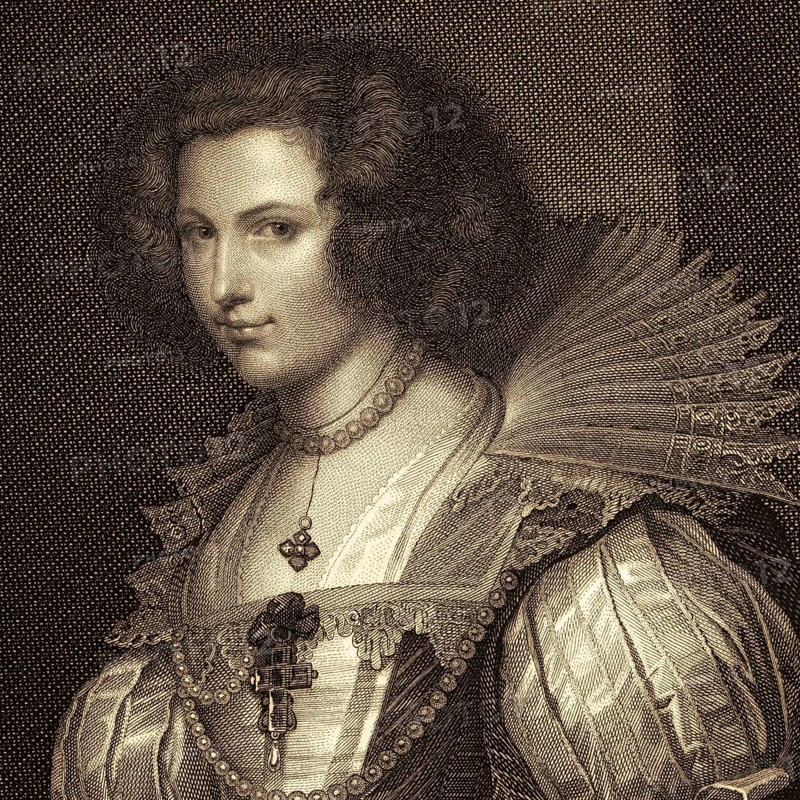Detail from the painting Countess Louise of Thurn and Taxis by Anthony van Dyk, portrait painting, noble portrait, Countess, Louise of Thurn and Taxis, House of Thurn and Taxis, Baroque, Flemish painting, court art, aristocracy, nobility, elegant clothing, lace collar, jewelry, dignity, grace, representation, oil painting, 17th century, art history, masterpiece, historical figure, European art, baroque portrait art, courtly elegance, historical illustration 1854