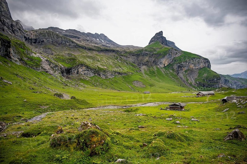 Alpine pastures and alpine meadows on Kienboden, green mountains, Bernese Alps, Bernese Oberland, Switzerland