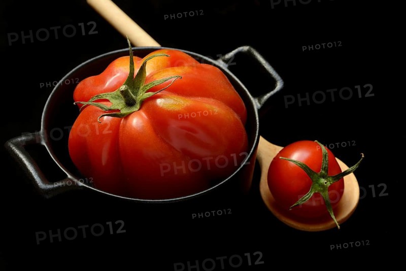 Oxheart tomato in pot, Solanum lycopersicum