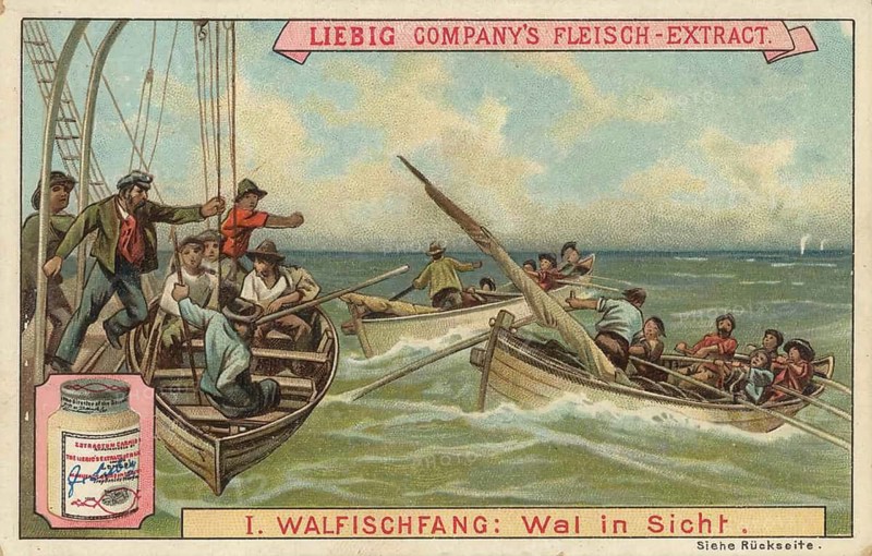 Picture series whaling, whale in sight, fishermen in rowing boats on the high seas who have spotted a whale, favorite picture, digitally restored reproduction of a collector's painting from around 1900, exact date unknown