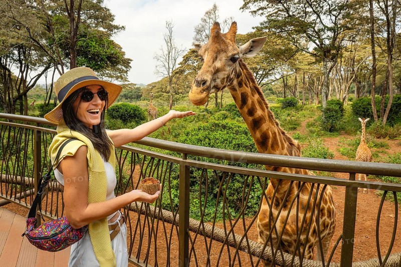 Cheerful female tourist pose smiling feeding tall Rothschild giraffe from elevated observation platform, Giraffe Centre Langata Nairobi Kenya eco travel wildlife conservation lifestyle