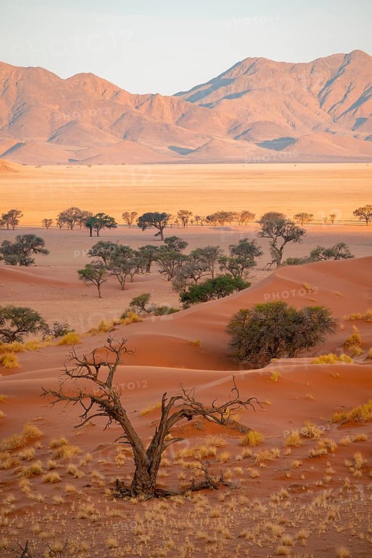 Dry landscape in the NamibRand nature reserve, behind Naukluft Mountains, Namib Desert, Namibia