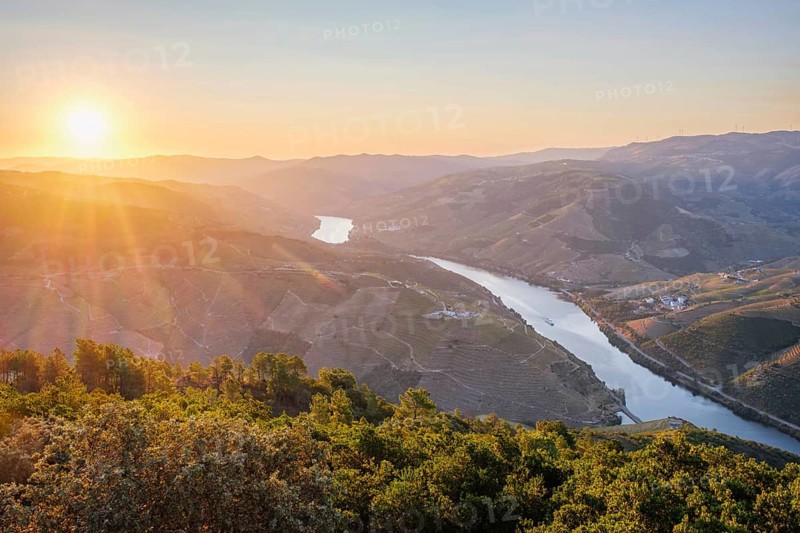 Aerial sunrise view of the Douro River and terraced vineyard hills in the Douro Valley, Portugal, with warm morning light