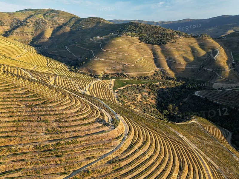Drone view of vineyards and hills in Douro Valley, Portugal, with Douro valley hills, terraced vineyards, and wide valley slopes and vine rows