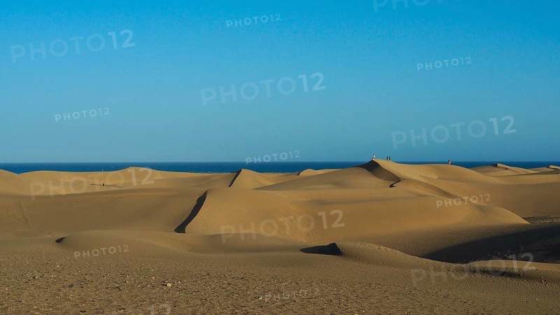 Sand dunes stretch to the horizon under a clear sky, Maspalomas Dunes, Gran Canaria, Spain