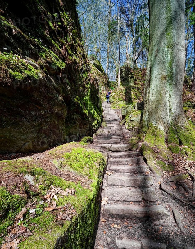 Descent into the Uttewalder Grund, rocky valley near Lohmen, gorge, rock formation, hiking, excursion destination, Lohmen, Elbe Sandstone Mountains, Saxon Switzerland, Saxony, Germany