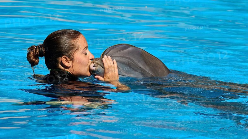 A woman gives a dolphin a tender kiss in the water, Dolphin, Dolphin (Delphinidae), Dolphin show, Loro Parque, Puerto de la Cruz, Tenerife, Canary Islands, Spain