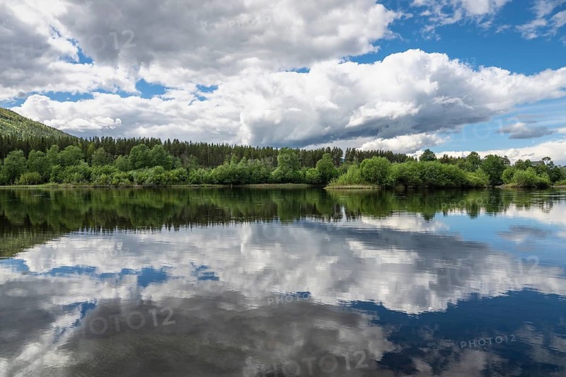 Cloud reflection in the River Glomma (Glåma), Alvdal, Hedmark, Innlandet, Norway, June 2026