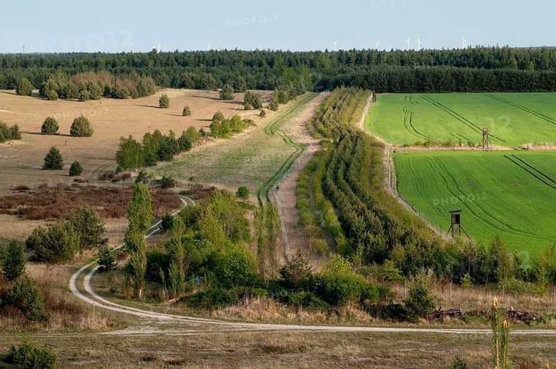 2009, Brandenburg, Germany, Grünhäuser See, Nabu, national natural heritage, natural paradise Grünhaus, post-mining landscape, Grünhaus, landscape, landscape