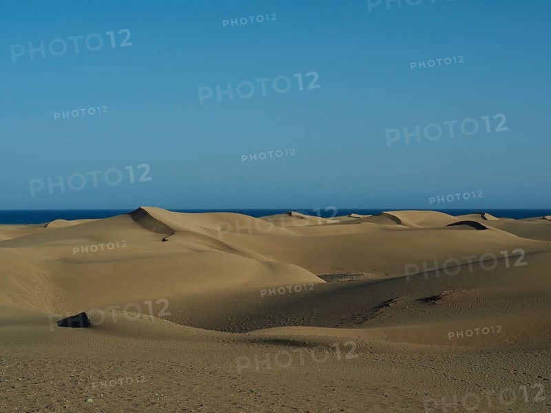 Endless sand dunes meet clear blue sky and horizon, Maspalomas Dunes, Gran Canaria, Spain