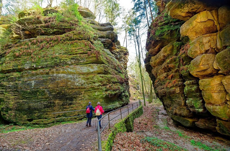 Hiking in Uttewalder Grund, rocky valley near Lohmen, gorge, rock formation, hiking, excursion destination, Malerweg, Lohmen, Elbe Sandstone Mountains, Saxon Switzerland, Saxony, Germany